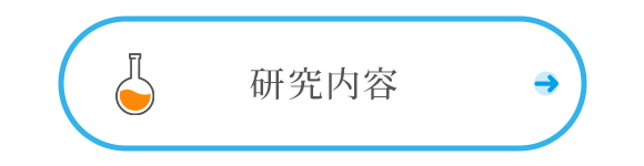 研究内容